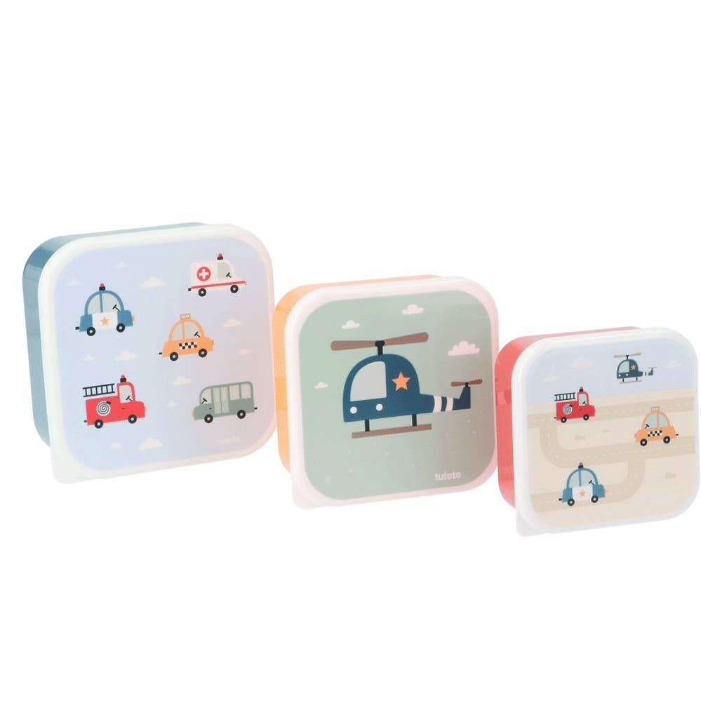 Set van 3 Fruit/Koekendozen met leuke print